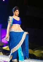 Shriya Saree Images
